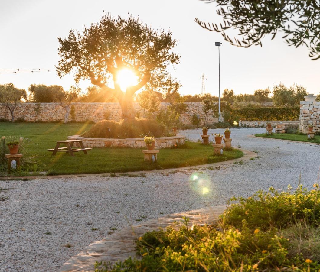 Terra Terra - Masseria Minunni Conversano