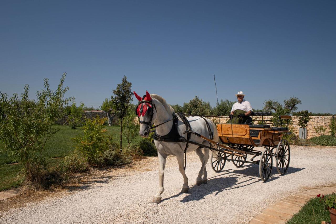 Terra Terra - Masseria Minunni Bauernhof