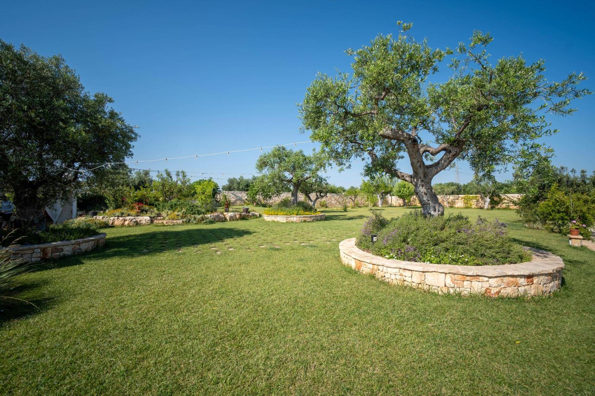 Terra Terra - Masseria Minunni
