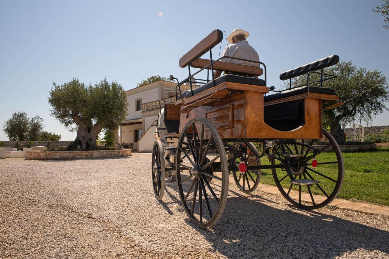 Agroturismo Terra Terra - Masseria Minunni