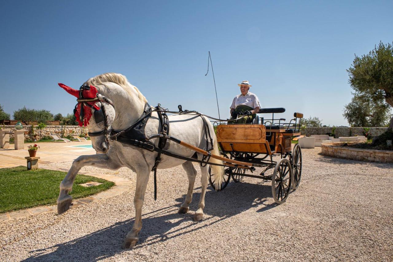 Farm stay Terra Terra - Masseria Minunni