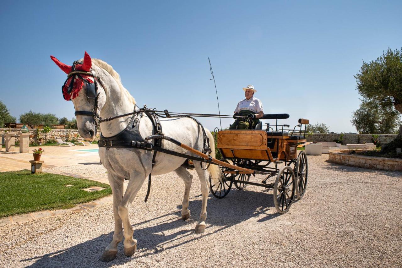 Farm stay Terra Terra - Masseria Minunni Conversano